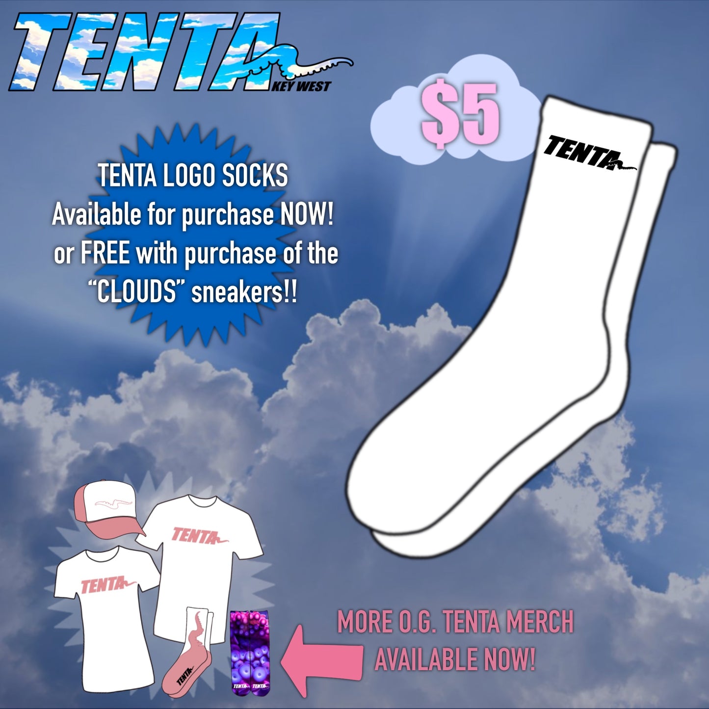 TENTA “Logo” socks